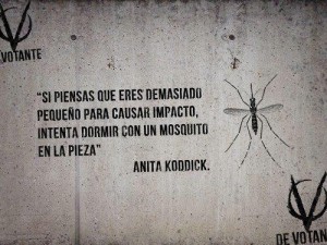 pensamiento mosquito